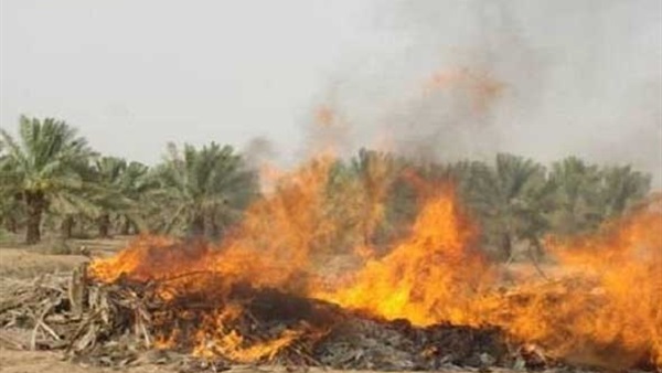 البيئة: انخفاض جودة الهواء بالقاهرة والدلتا  نتيجة الحرق المكشوف للمخلفات الزراعية 