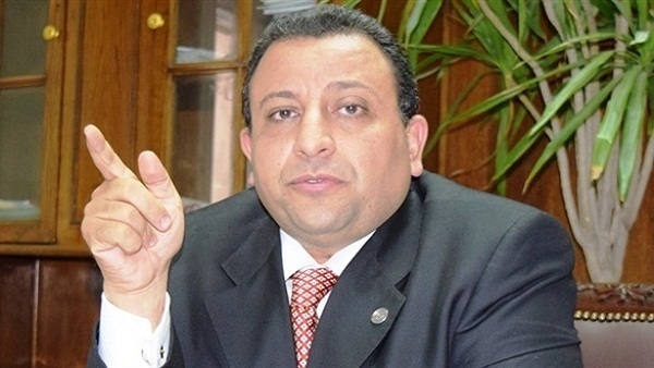 «حلمي»: تسجيل كوبري قصر النيل وأسوده الأربعة في تعداد الآثار