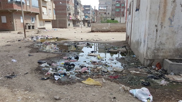 إقالة رئيس وحدة قروية بالدقهلية بسبب القمامة