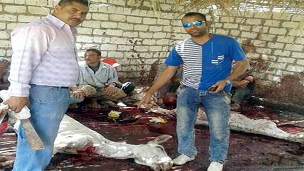 «الصحة»: 2550 جنيها سعر جلد الحمار المذبوح