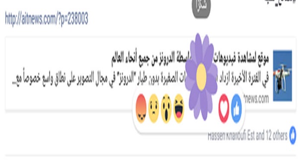 زهرة بنفسجية بفيسبوك للانطباعات بمناسبة يوم الأم