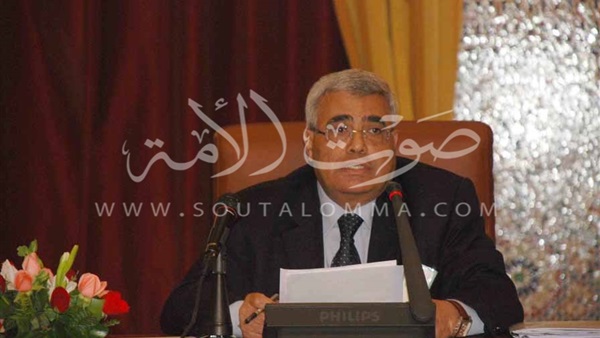 نافعة: ضعف الإقبال في انتخابات البرلمان سببه محاولات تشويه ثورة يناير 