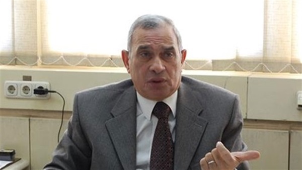 مستشار رئيس الوزراء: 11% نسبة المشاركة في اليوم الثاني للانتخابات 