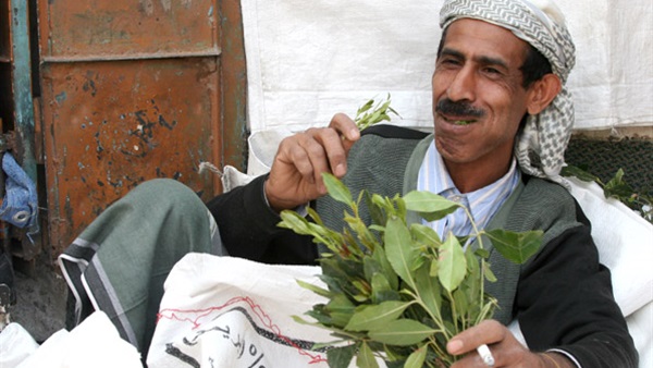 احتجاجات في اليمن للمطالبة بدخول المخدرات إلى عدن طوال الأسبوع
