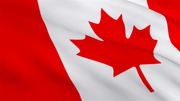 وفد من السفارة الكندية يغادر لجان إحدى المدراس بإمبابة