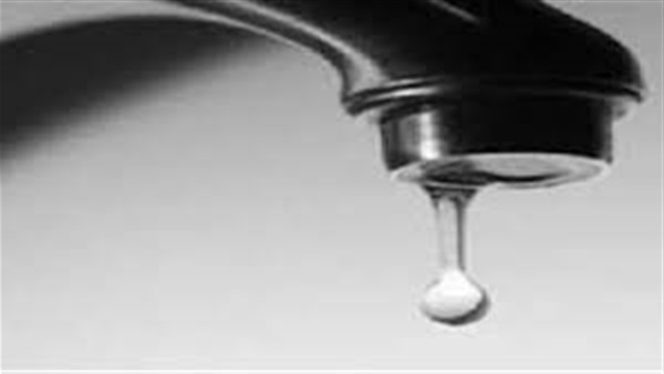 بالفيديو.. «أميرة الشنواني»: غالبية القوائم الانتخابيه تساند السيسي