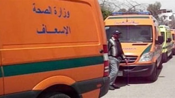 وصول عدد من سيارات الإسعاف إلى مطار القاهرة