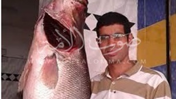  بالصور.. اصطياد سمكة تزن 35 كيلو بوادي الريان بالفيوم
