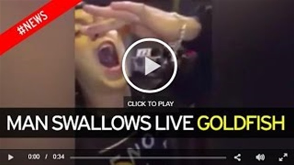 بالفيديو.. بريطاني يبتلع سمكة ذهبية وهي حيّة