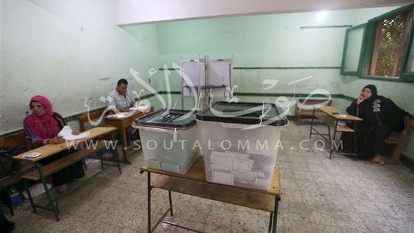 انتهاء فرز المقاعد الفردية بقرية «الشيخ» فى قنا 