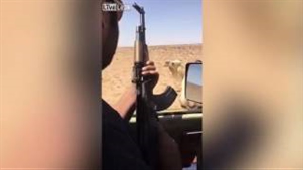 بالفيديو.. سعودي يقتل جملا انتقاما لأخيه