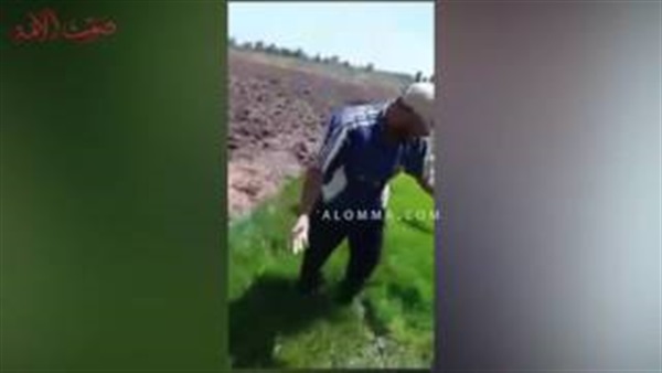 بالفيديو والصور.. العطش يطارد أهالى كفر الشيخ.. الأراضى الزراعية تبحث عن مياة الرى.. فلاحون:«مش لاقيين ناكل».. أحمد عبدالله: «إنتخبنا النواب وماعملوش لينا حاجة»..يحى صلاح:«الحكومة فى وادى تانى خالص»