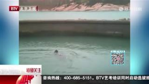 بالفيديو.. لحظة وفاة رجل حاول التقاط سيلفى مع حيوان 