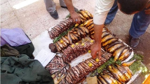 بالصور.. 300 كيلو سردين فاسد ببني سويف