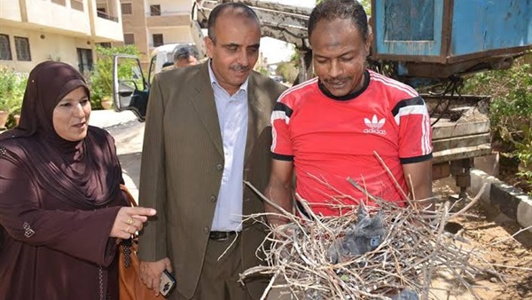 بالصور.. انطلاق حملة لمكافحة الغربان بالإسماعيلية