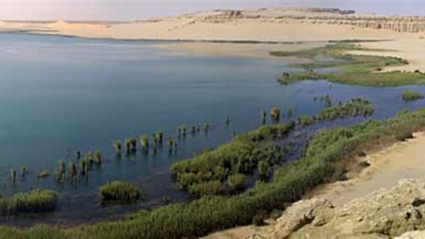 قريباً البدء فى أعمال تطهير بحيرة قارون بالفيوم 