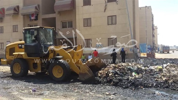 بالصور.. حملات نظافة مكثفة بمناطق الضواحي ببورسعيد 