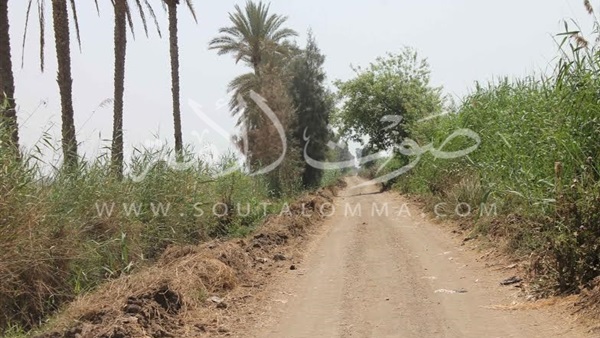 بالصور.. أهالي عزبة «موسو» بالدقهلية يعانون من سوء حالة الطريق
