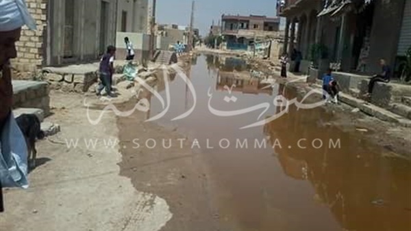 بالصور.. منشأة قارون بالفيوم تغرق فى مياه ترنشات الصرف الصحى