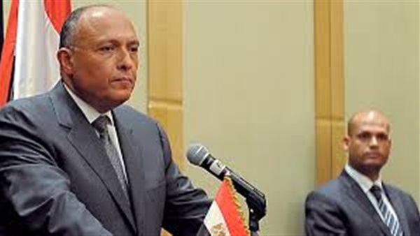 شكري: دعوة الرئيس لتحريك عملية السلام تعبر عن الاهتمام بقضية فلسطين  