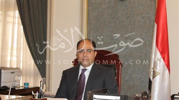 «الخارجية» تكشف هوية المسئول المصري المتهم بالإساءة لأفريقيا