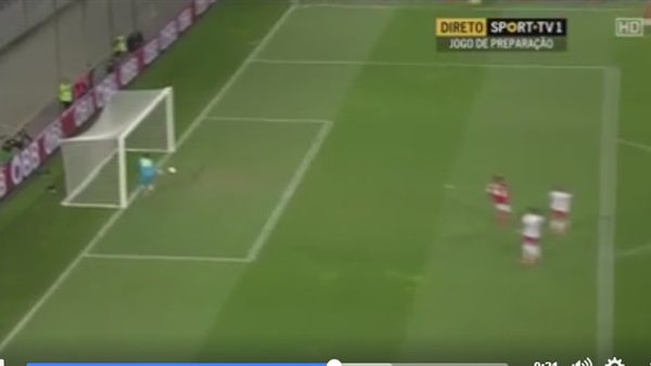شاهد.. هدف غريب يصدم جماهير النمسا قبل «اليورو»