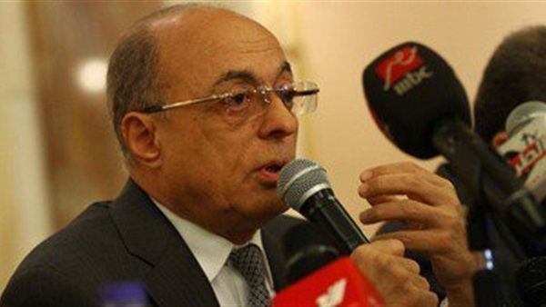 اليزل: السيسي ليس المعني بتعيين رئيس البرلمان 