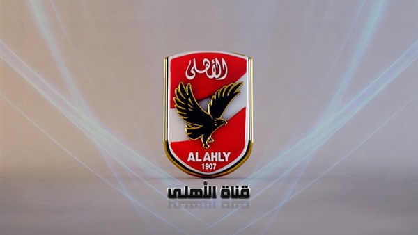 موظفو قناة «الأهلي» يستنجدون بـ«صالح كامل» لصرف مستحقاتهم بعد فصلهم 
