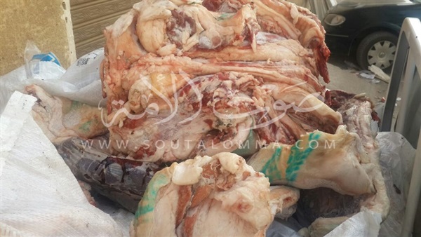 صور .. احباط توزيع ٤ طن لحوم فاسدة بكرداسة 