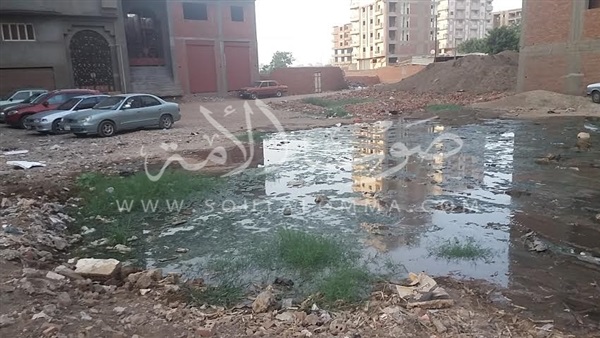 بالصور..مياه الصرف الصحي تحاصر أهالي قرية «بطا» ببنها 
