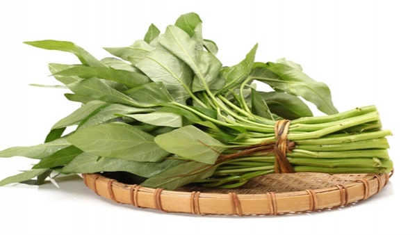 قريبا.. السبانخ ستصبح وقودا لسيارتك