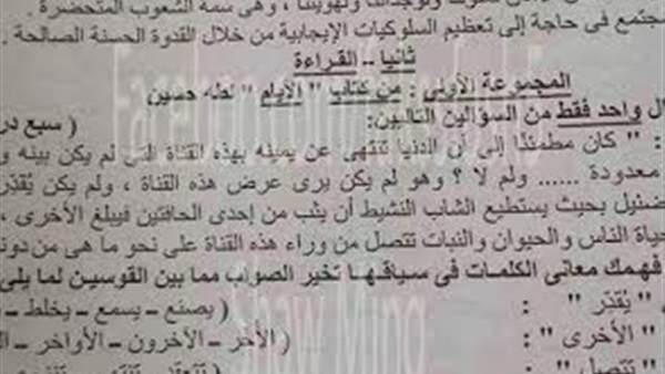 بالصور.. تسريب امتحان اللغة العربية بالشرقية