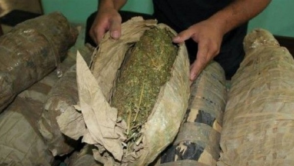 القبض علي عاطل بحوزته كمية من البانجو بالشرقية