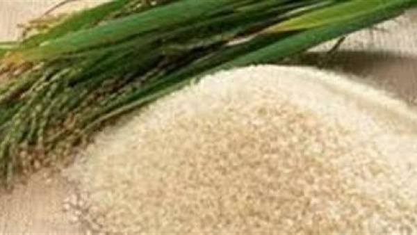 تجار: العراق يطرح مناقصة لشراء 50 ألف طن من الأرز