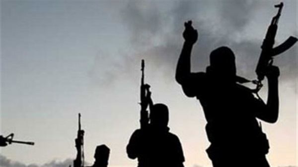 تجديد حبس 14 من عناصر الإرهابية بالغربية 15 يوما