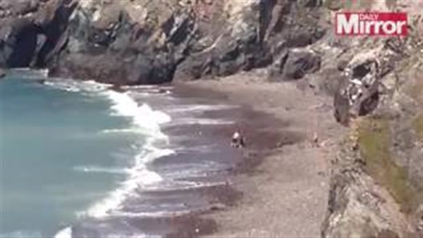 بالفيديو.. ذهب لانقاذ دولفين فأكتشف أنه قرش مفترس