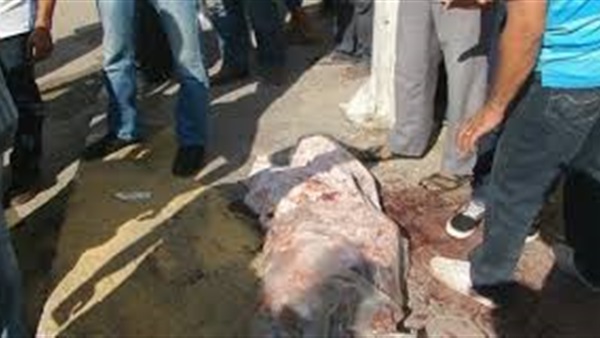 مصرع شخص صدمته سيارة ملاكي بالبحيرة