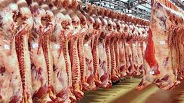 طرح لحوم سودانية بالمنيا بـسعر 55 جنيها للكيلو