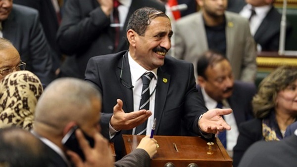 برلماني: حدث خلط بين تنظيم حق التظاهر السلمى وبين ما تتعرض له البلاد