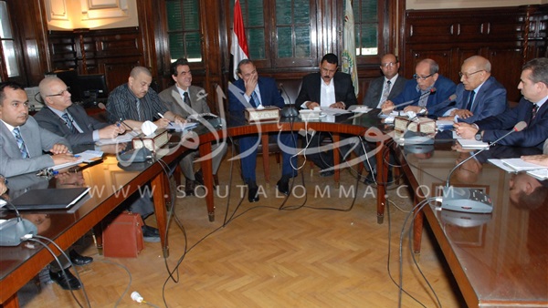  وزير الزراعة يناقش الإجراءات اللازمة للحفاظ على صناعة الدواجن في مصر