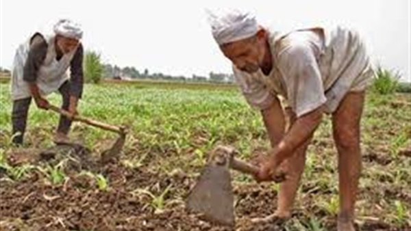  نقابة الفلاحين تهنئ رئاسة الجمهورية ومجلس الوزراء والدفاع بذكرى العاشر من رمضان