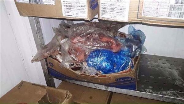 بالصور.. ضبط كمية من الحوم والدواجن الفاسدة بالبحر الأحمر 