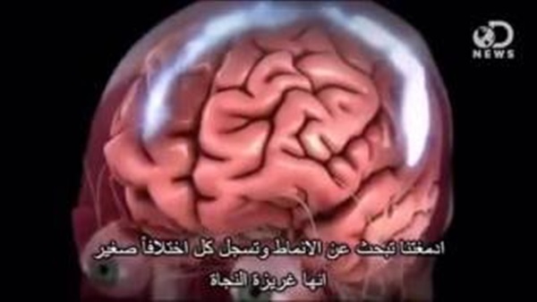 بالفيديو..هل المرء اصبح مدمن انترنت