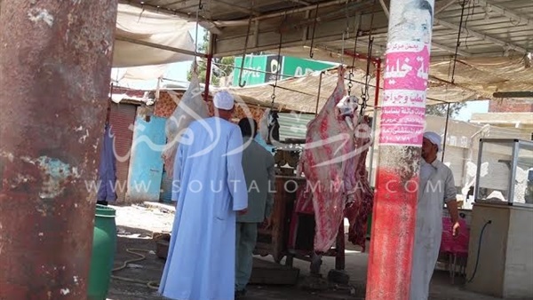  بالصور..شوادر لحوم «الشوارع» بلا رقابة فى كفر الشيخ.. مصدر بيطرى 70 % منها تذبح خارج المجازر ..العاملون يتهاونون مقابل الحصول عليها مجاناً ..الأهالي سعرها رخيص لكونها «مجهولة المصدر»