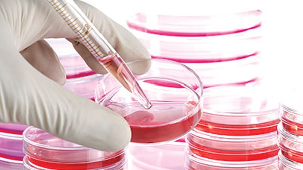 دراسة فرنسية: الخلايا الجذعية علاج المستقبل لجراحات التجميل