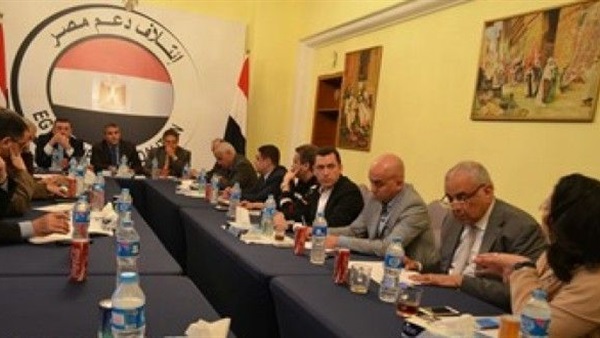 فضيحة مهنية من مستشار التخطيط لـ«دعم مصر»