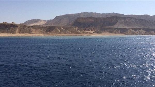 رامى غانم معلقًًا على «تيران وصنافير»: من حق الشعب محاكمة ممثلى الدولة