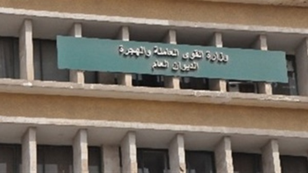 القوى العاملة بالمنيا تعلن تنفيذ خطة التدريب المهني 