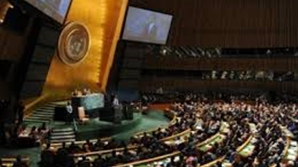 مصر تفوز بعضوية لجنة حقوق الإنسان بالأمم المتحدة