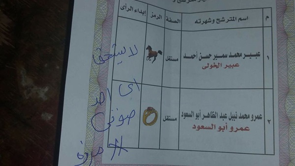 ناخب يبطل صوته فى الإنتخابات التكميلية بالفيوم 
